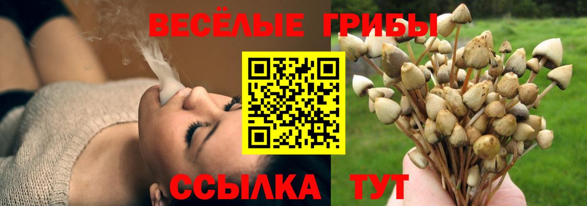 Псилоцибиновые грибы GOLDEN TEACHER  Вход с VPN  Краснотурьинск 